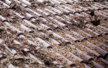 Whiddon Down roof cleaning companies