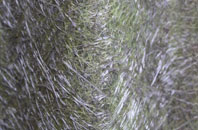 Whiddon Down fibreglass roof work